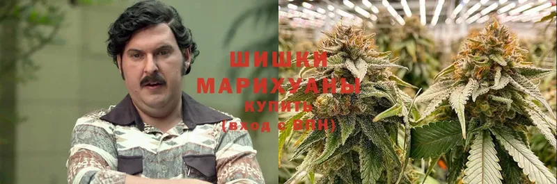 МАРИХУАНА Ganja  Руза 